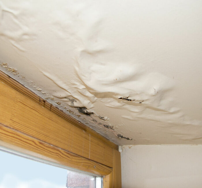 dégât des eaux plafond