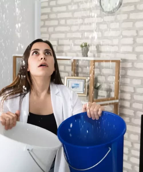 dégât des eaux